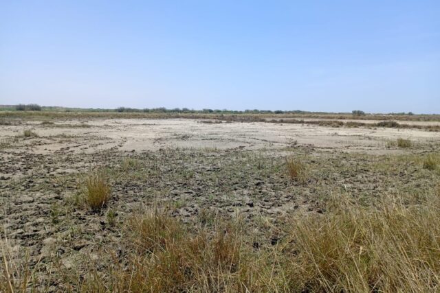 Terrain Agricole de 2,13 hectares vers Diama – Saint-Louis