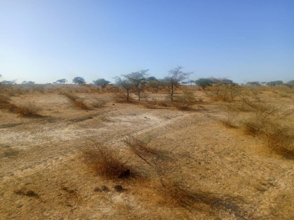 Bâtissez grand sur un Terrain Agricole de 160 hectares idéalement situé vers Diama – Saint-Louis