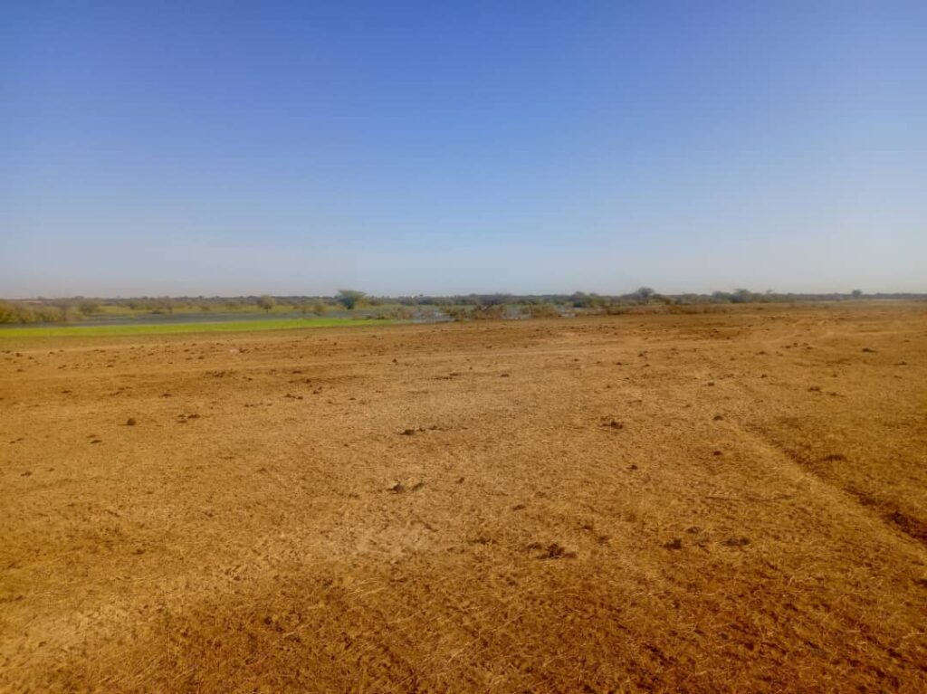 Bâtissez grand sur un Terrain Agricole de 160 hectares idéalement situé vers Diama – Saint-Louis