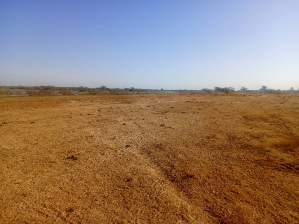 Bâtissez grand sur un Terrain Agricole de 160 hectares idéalement situé vers Diama – Saint-Louis