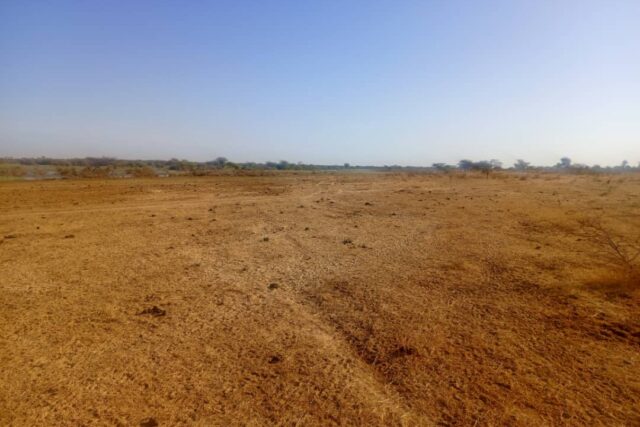 Bâtissez grand sur un Terrain Agricole de 160 hectares idéalement situé vers Diama – Saint-Louis
