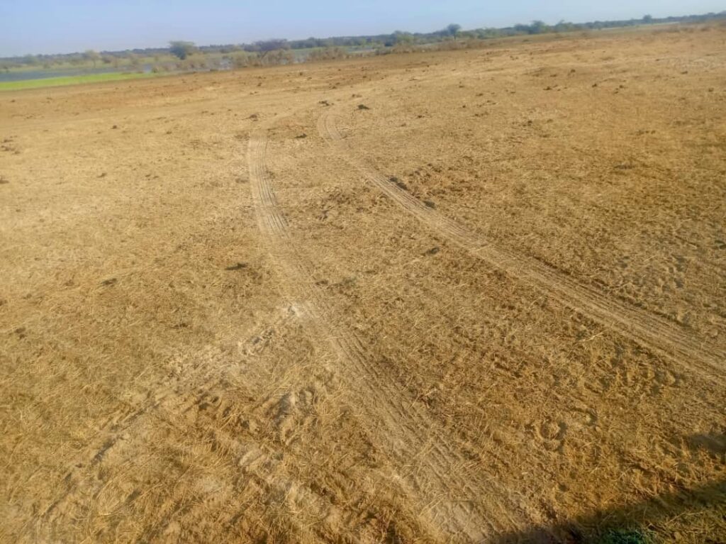 Bâtissez grand sur un Terrain Agricole de 160 hectares idéalement situé vers Diama – Saint-Louis