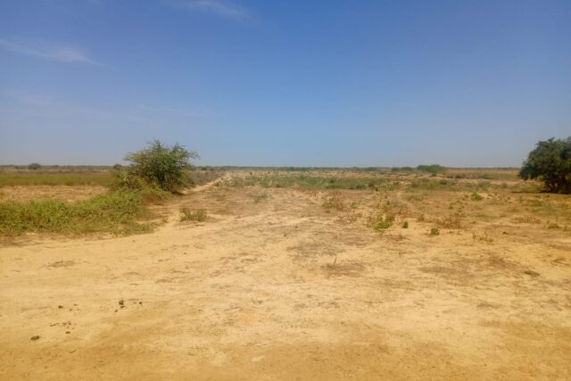 Haute Productivité : Vaste terrain agricole de 13 hectares vers Diama – Saint-Louis