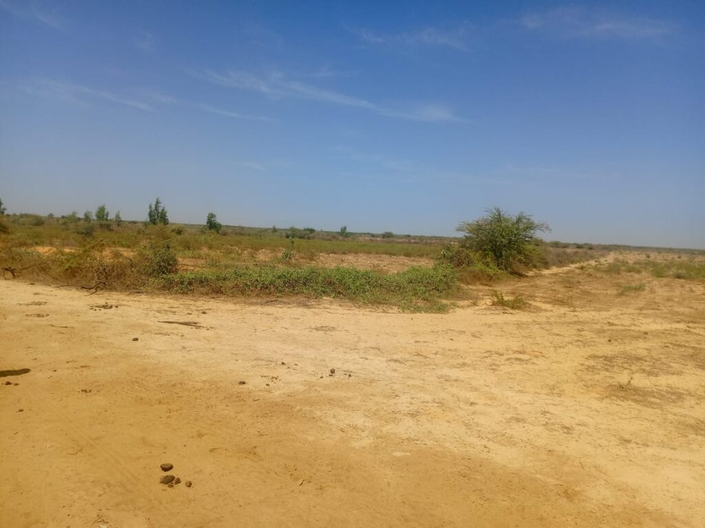 Haute Productivité : Vaste terrain agricole de 13 hectares vers Diama – Saint-Louis