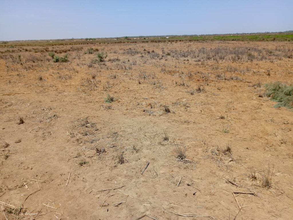 Location Terrain agricole de 1 hectare vers Diama – Saint-Louis