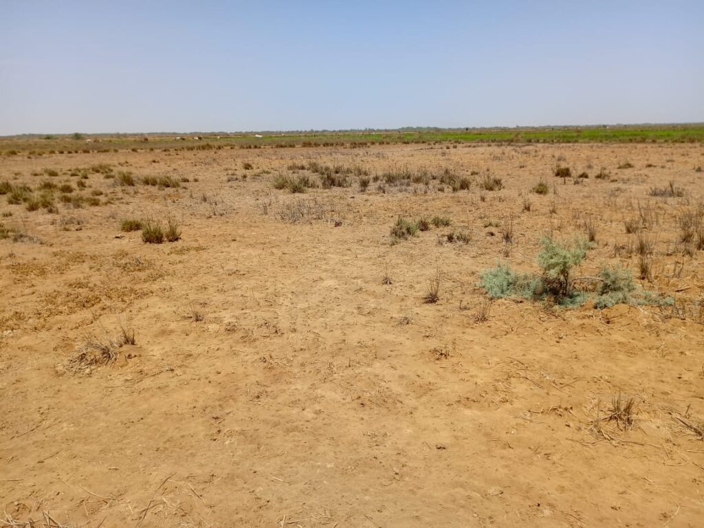 Location Terrain agricole de 1 hectare vers Diama – Saint-Louis