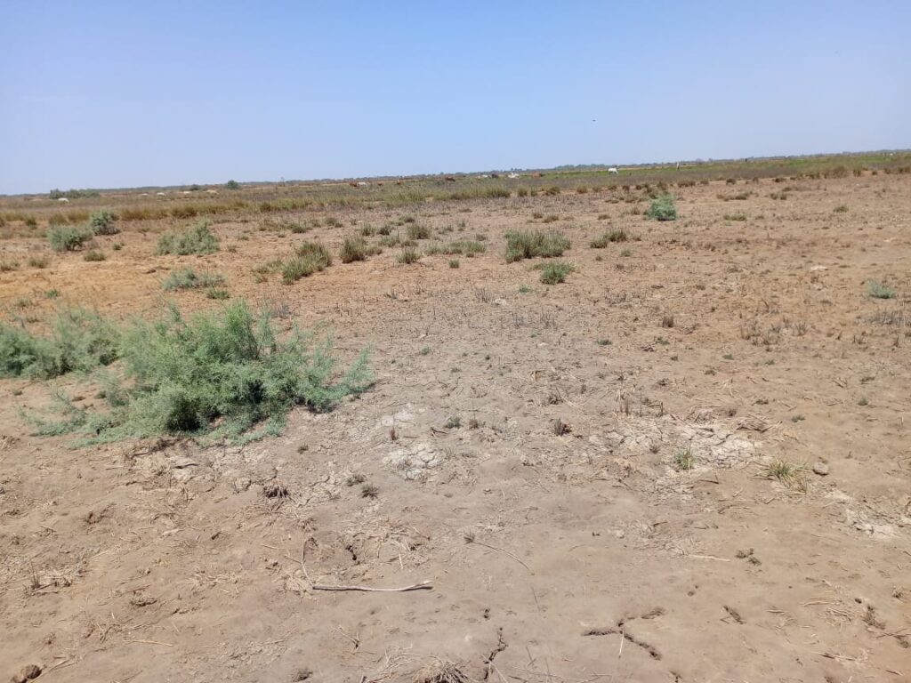 Location Terrain agricole de 1 hectare vers Diama – Saint-Louis