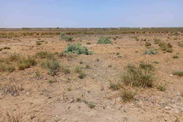 Location Terrain agricole de 1 hectare vers Diama – Saint-Louis