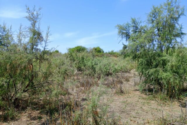 Lancez votre projet d’envergure : 4,29 Hectares stratégiques vers Diama – Saint-Louis