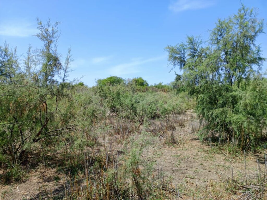 Lancez votre projet d’envergure : 4,29 Hectares stratégiques vers Diama – Saint-Louis