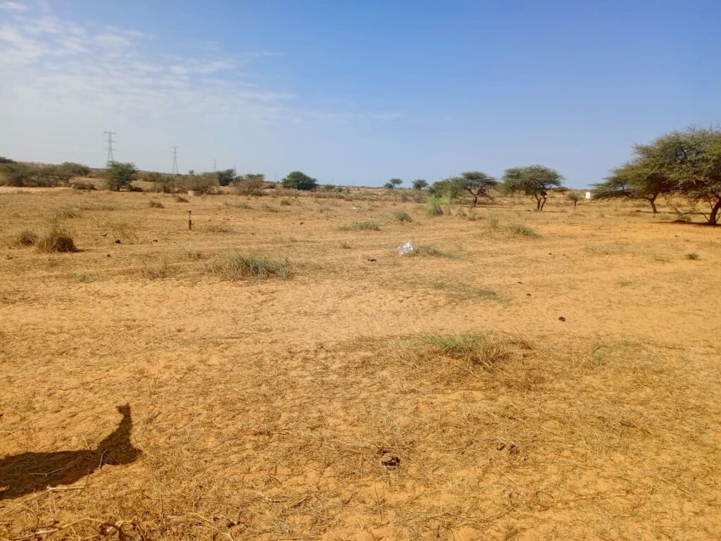 3 hectares à fort potentiel : l’emplacement idéal vers Diama – Saint-Louis
