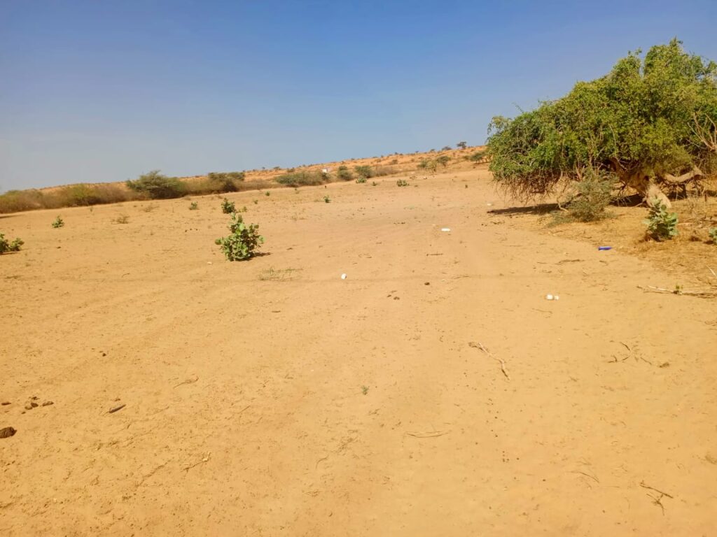 3 hectares à fort potentiel : l’emplacement idéal vers Diama – Saint-Louis