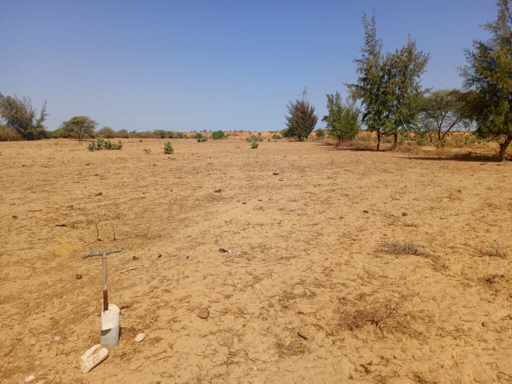 3 hectares à fort potentiel : l’emplacement idéal vers Diama – Saint-Louis