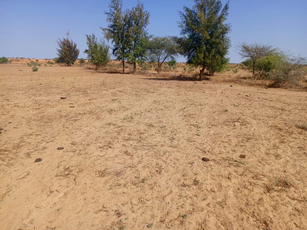 3 hectares à fort potentiel : l’emplacement idéal vers Diama – Saint-Louis