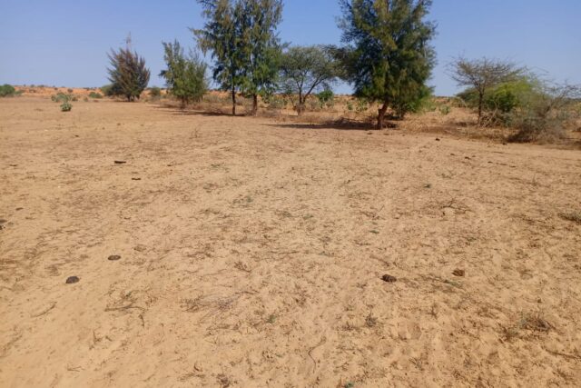 3 hectares à fort potentiel : l’emplacement idéal vers Diama – Saint-Louis