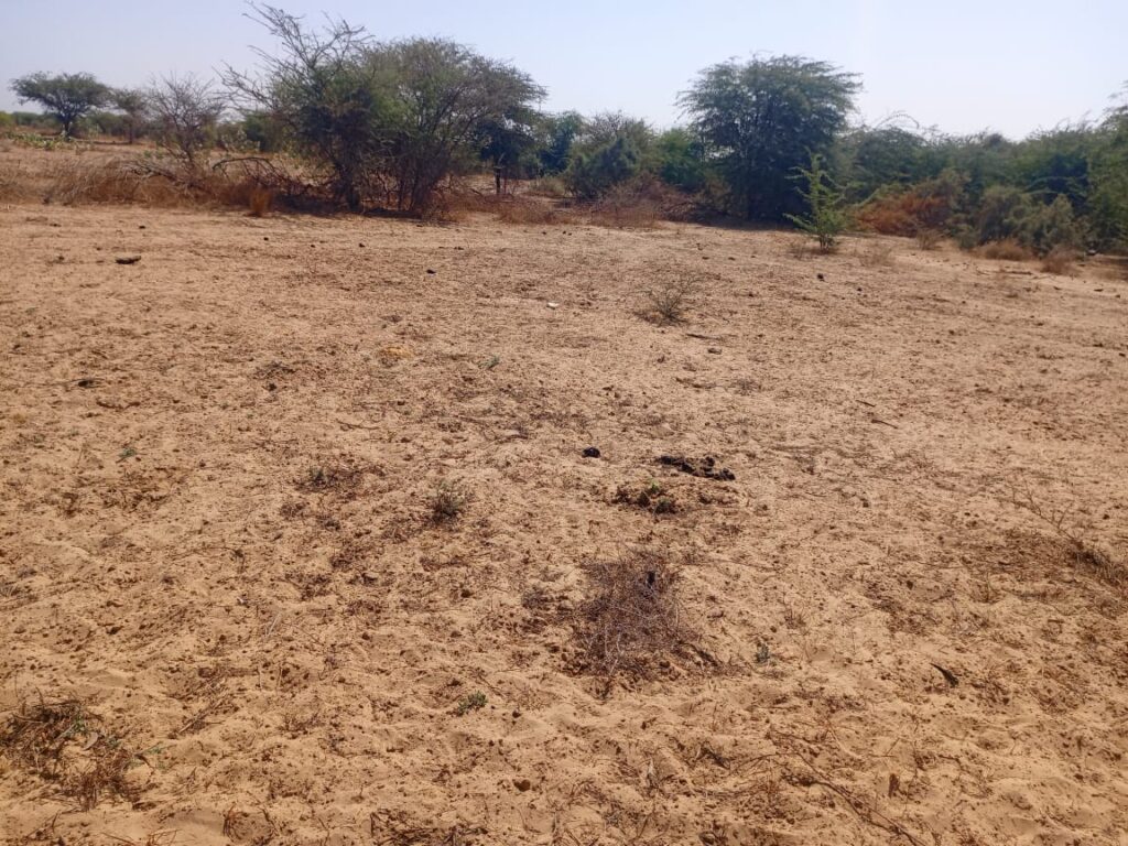 3 hectares à fort potentiel : l’emplacement idéal vers Diama – Saint-Louis