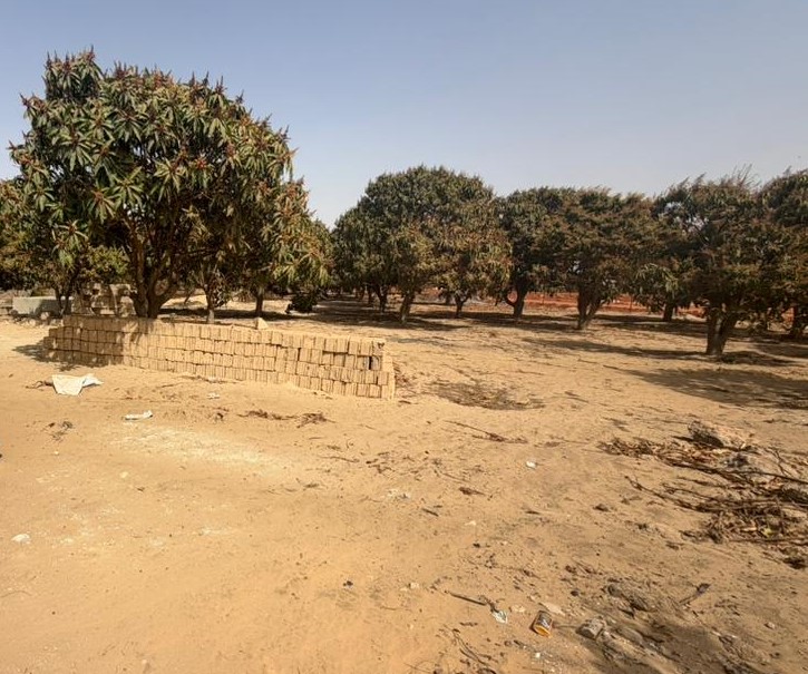 Investissement Vert : 1,03 hectare stratégique dans la zone horticole de Bambylor