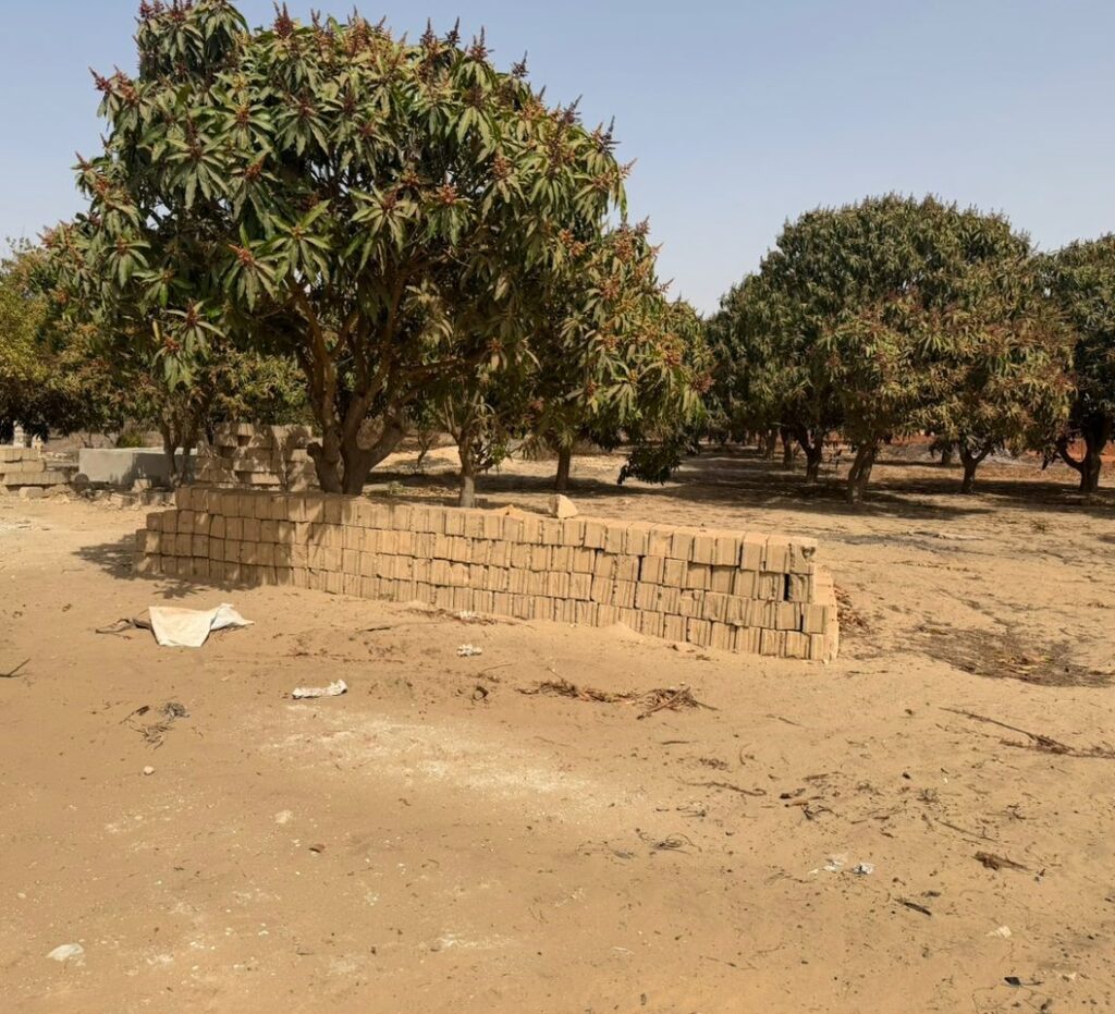 Investissement Vert : 1,03 hectare stratégique dans la zone horticole de Bambylor