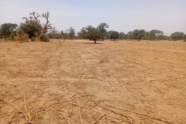 Lancez votre projet d’envergure : 1,33 Hectare stratégiques vers Tassette – Thiès