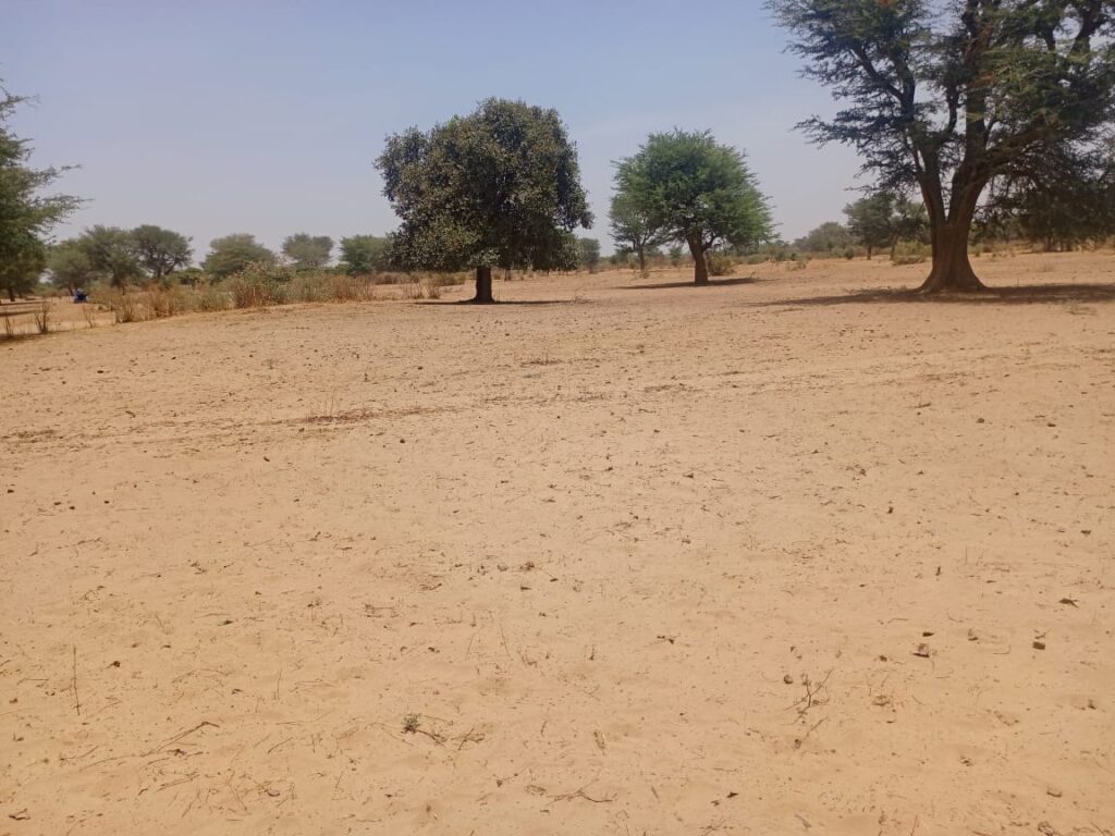 Lancez votre projet d’envergure : 1,33 Hectare stratégiques vers Tassette – Thiès