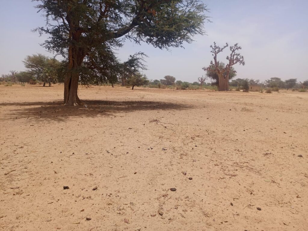 Lancez votre projet d’envergure : 1,33 Hectare stratégiques vers Tassette – Thiès