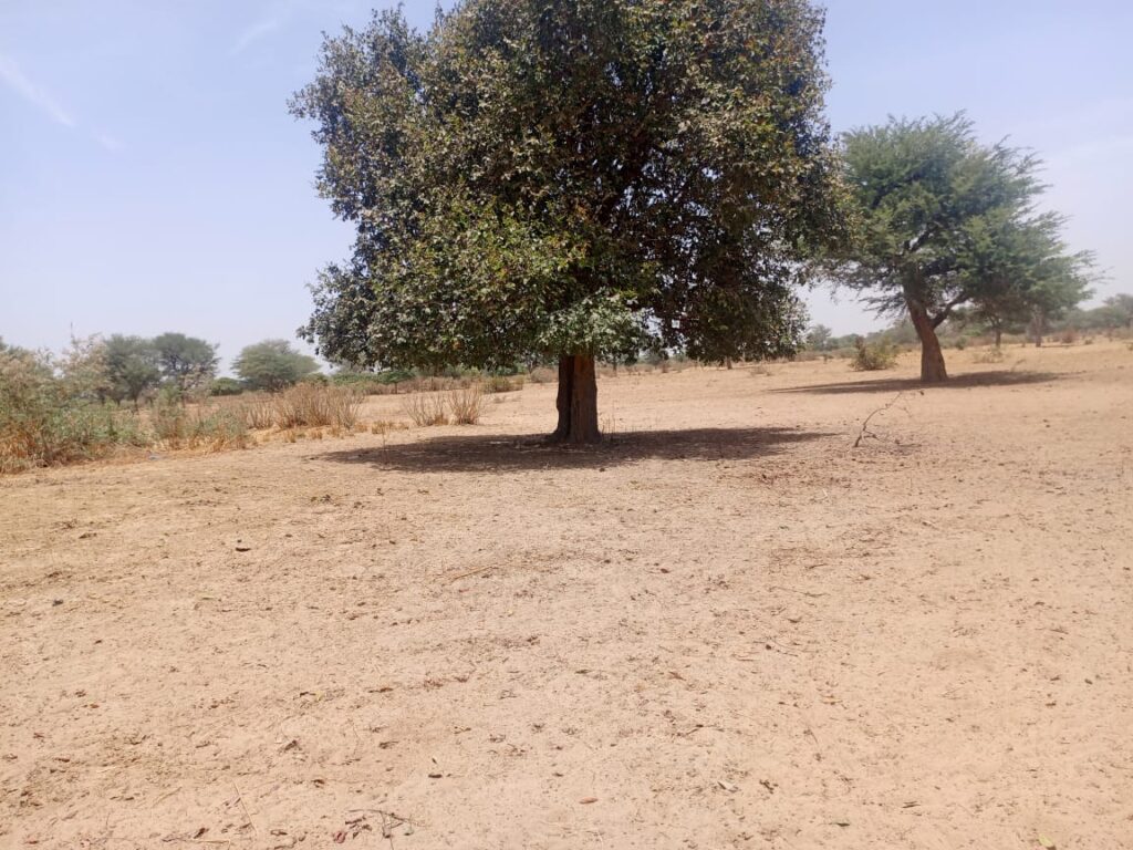 Lancez votre projet d’envergure : 1,33 Hectare stratégiques vers Tassette – Thiès