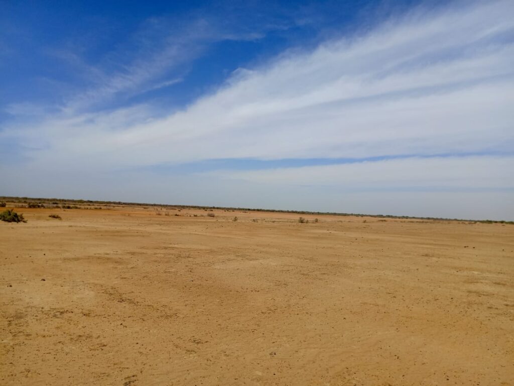 Lancez votre projet d’envergure : 1000 Hectares stratégiques vers Diama – Saint Louis