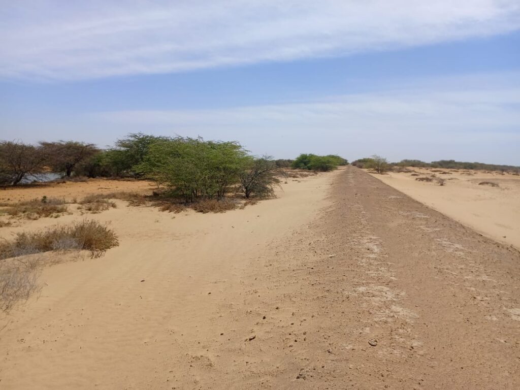 Lancez votre projet d’envergure : 1000 Hectares stratégiques vers Diama – Saint Louis