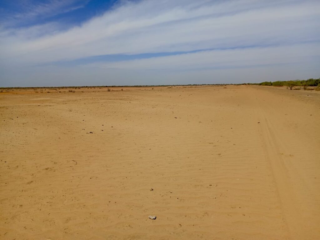 Lancez votre projet d’envergure : 1000 Hectares stratégiques vers Diama – Saint Louis