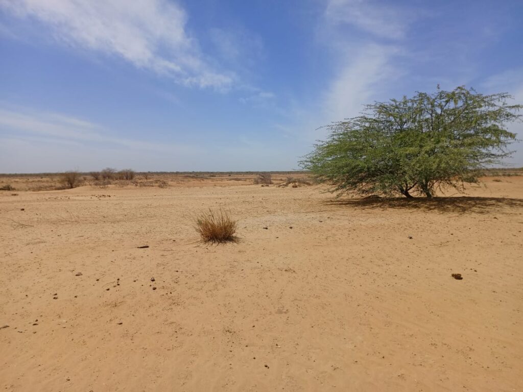 Lancez votre projet d’envergure : 1000 Hectares stratégiques vers Diama – Saint Louis