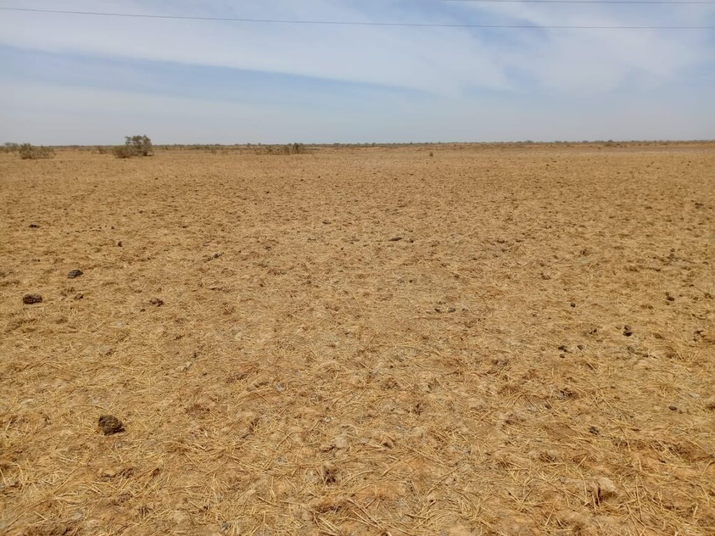 Opportunité d’investissement majeure : 1 050 hectares stratégiquement situés à Diama – Saint-Louis