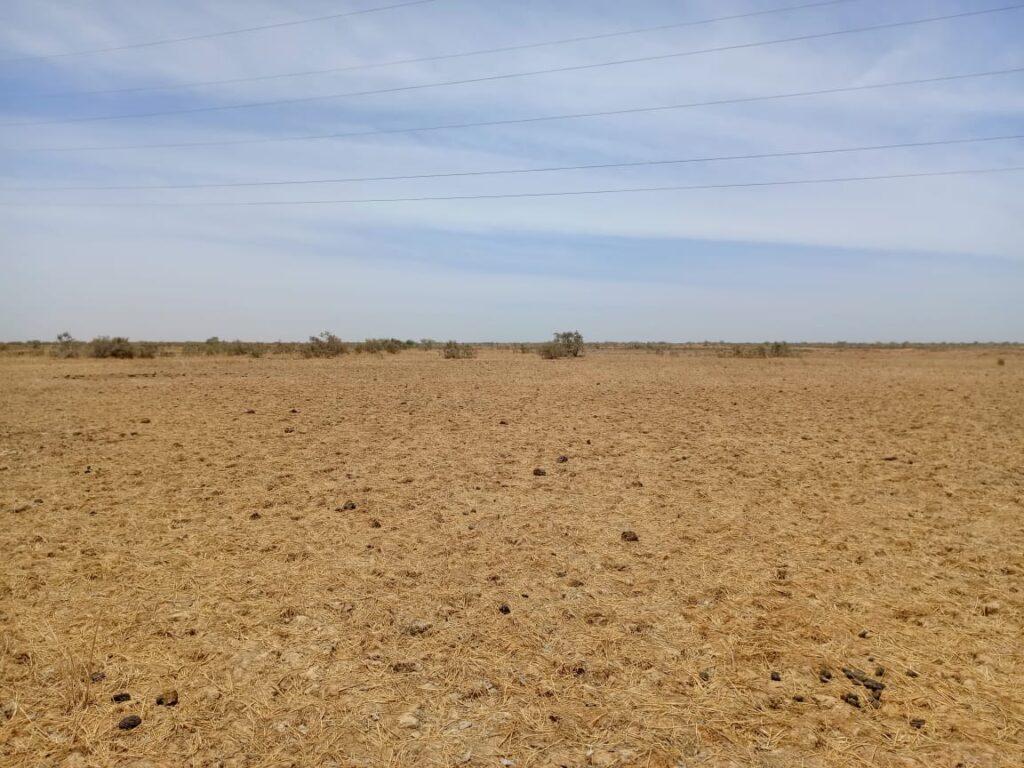 Opportunité d’investissement majeure : 1 050 hectares stratégiquement situés à Diama – Saint-Louis
