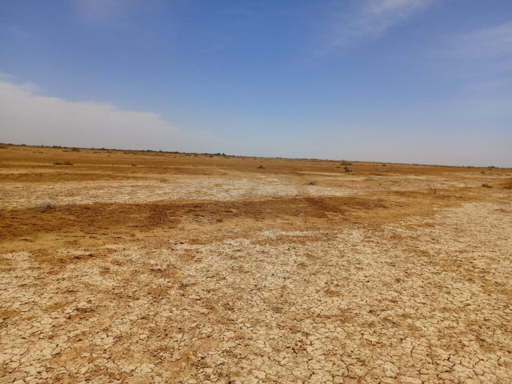 Domaine de 287 hectares à Diama – Saint-Louis : un emplacement stratégique pour vos investissements