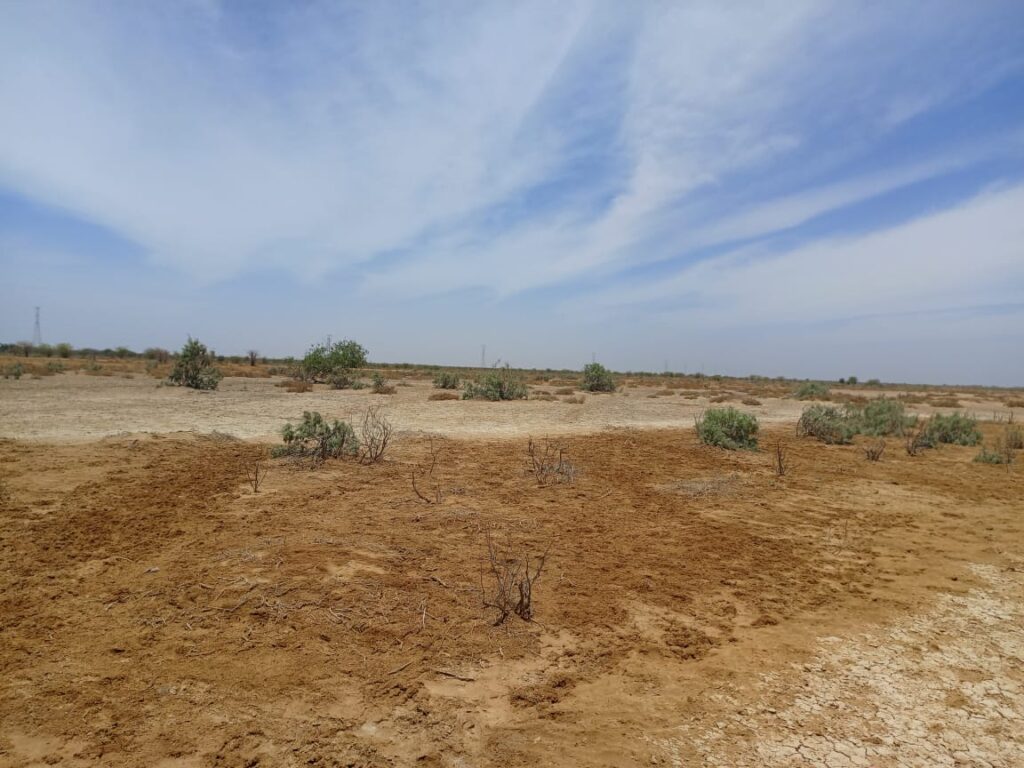 Domaine de 287 hectares à Diama – Saint-Louis : un emplacement stratégique pour vos investissements