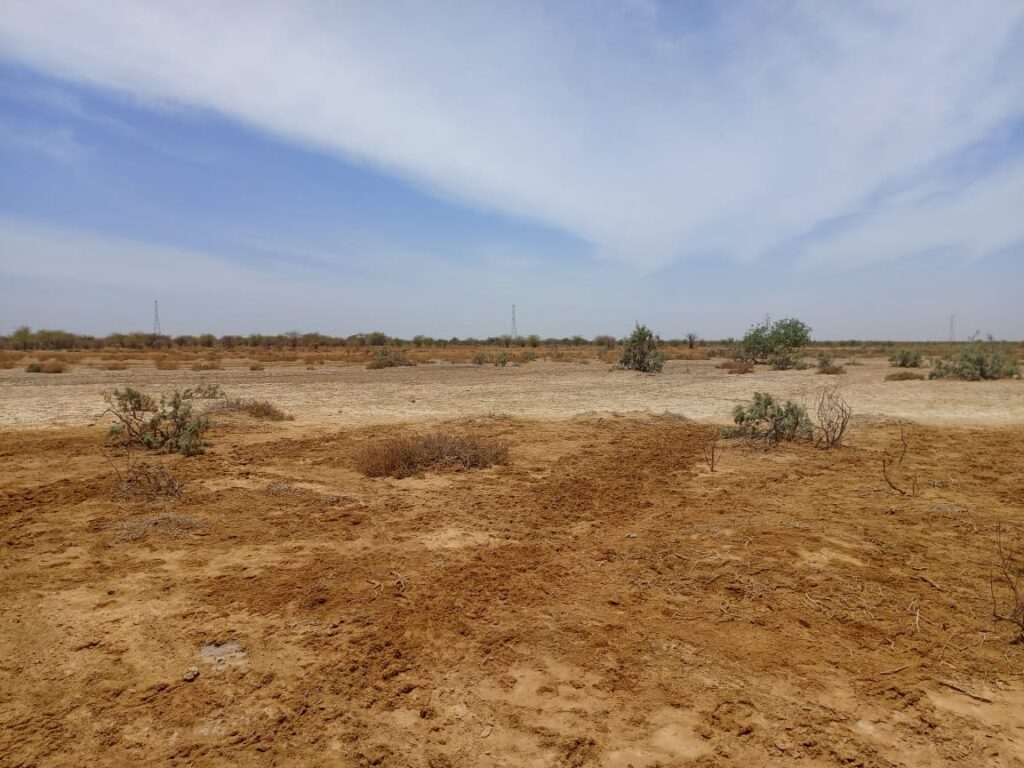Domaine de 287 hectares à Diama – Saint-Louis : un emplacement stratégique pour vos investissements