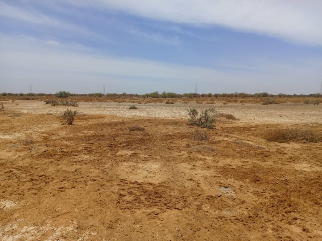 Domaine de 287 hectares à Diama – Saint-Louis : un emplacement stratégique pour vos investissements