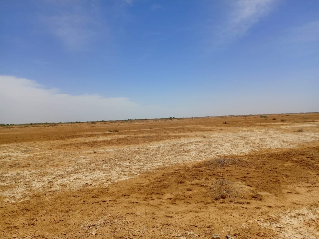 Domaine de 287 hectares à Diama – Saint-Louis : un emplacement stratégique pour vos investissements