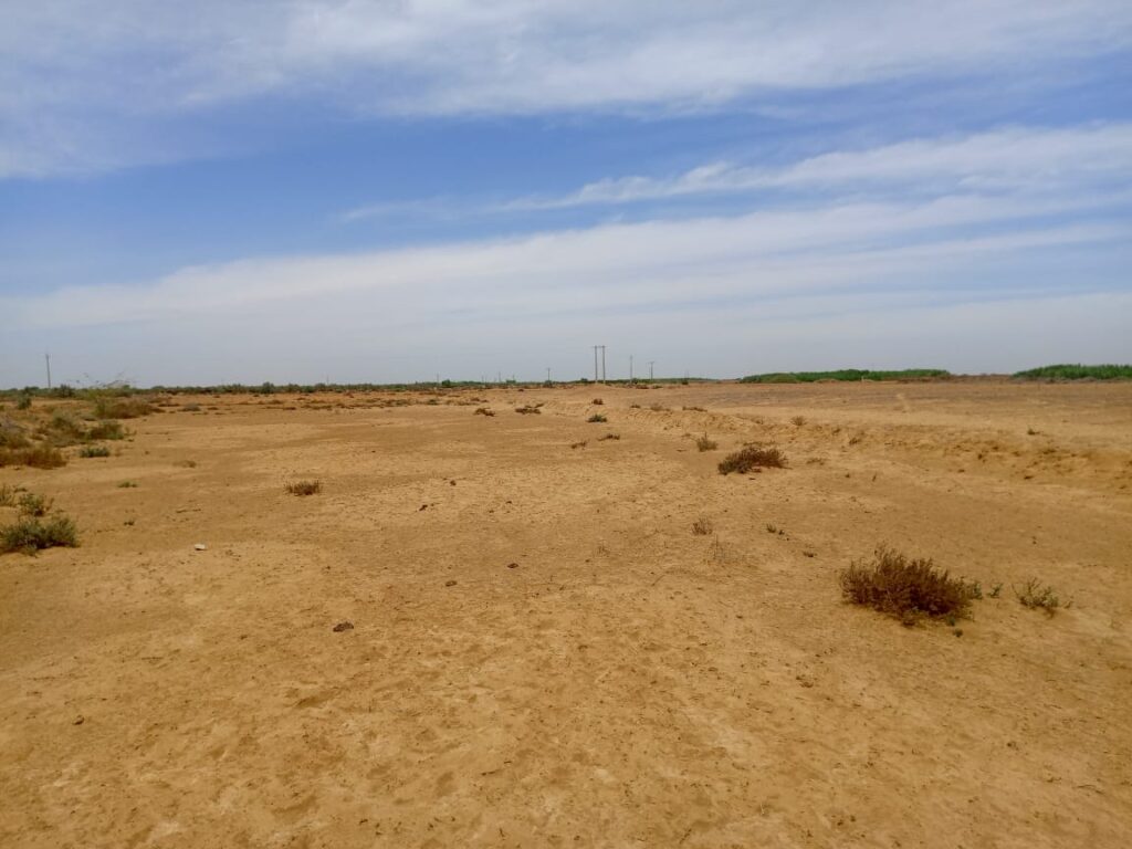 47 hectares stratégiques à Diama – Saint-Louis : une opportunité foncière exceptionnelle