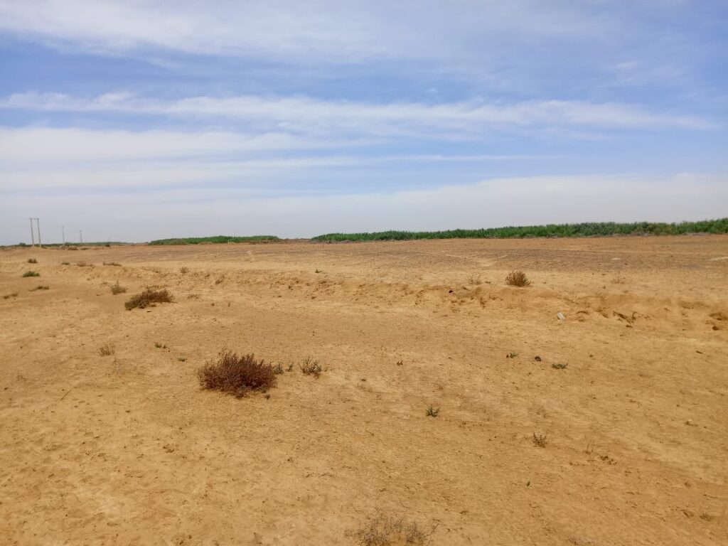 47 hectares stratégiques à Diama – Saint-Louis : une opportunité foncière exceptionnelle