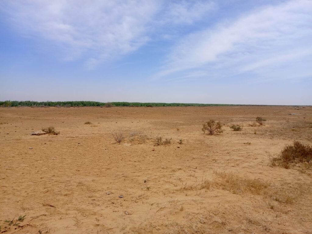 47 hectares stratégiques à Diama – Saint-Louis : une opportunité foncière exceptionnelle