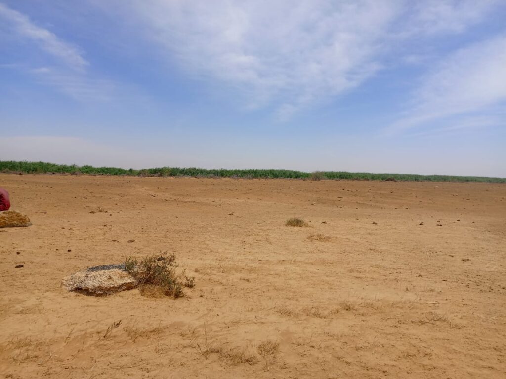 47 hectares stratégiques à Diama – Saint-Louis : une opportunité foncière exceptionnelle
