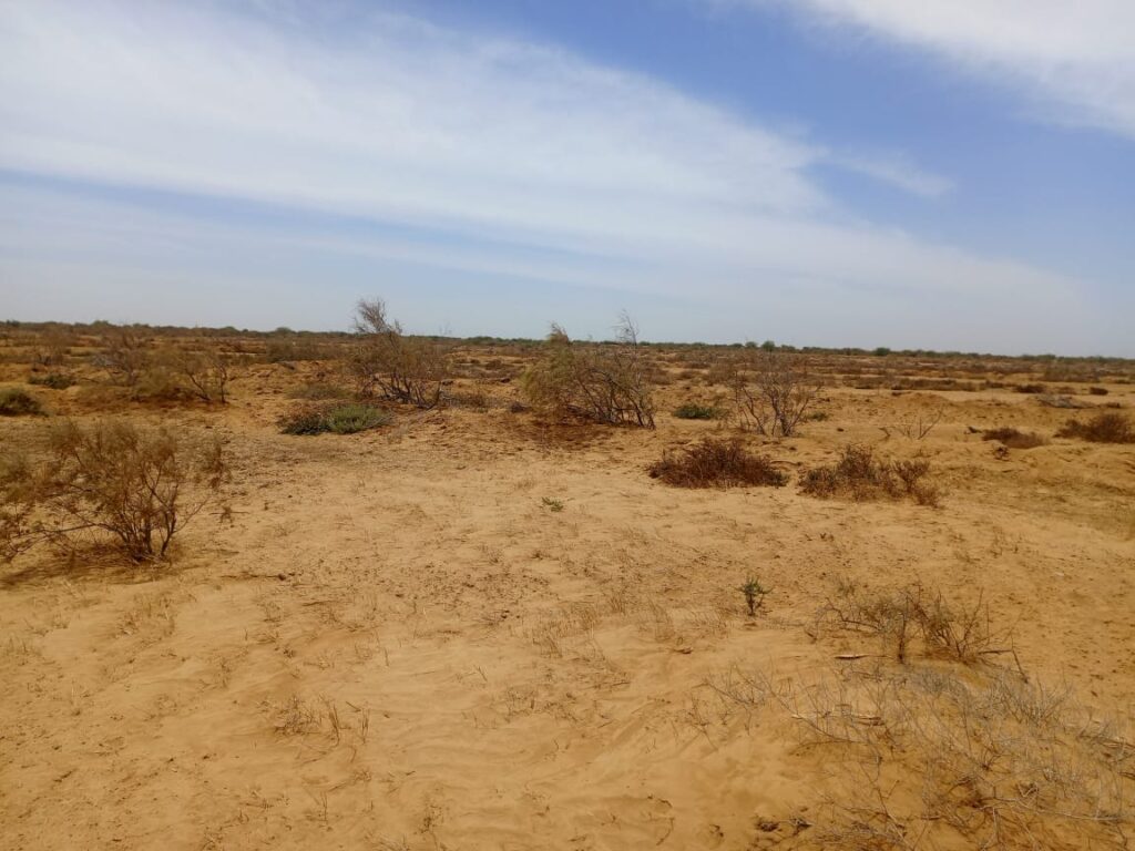 47 hectares stratégiques à Diama – Saint-Louis : une opportunité foncière exceptionnelle