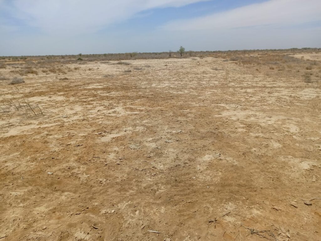 Terrain de 200 hectares à Diama – Saint-Louis : une opportunité foncière d’envergure