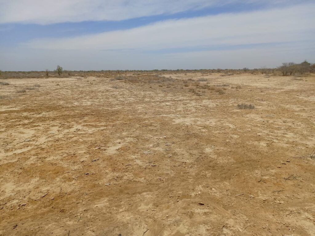 Terrain de 200 hectares à Diama – Saint-Louis : une opportunité foncière d’envergure