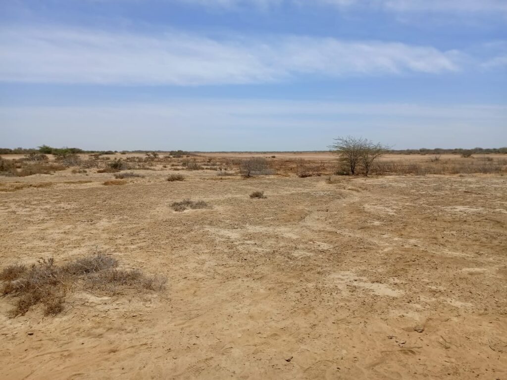 Terrain de 200 hectares à Diama – Saint-Louis : une opportunité foncière d’envergure