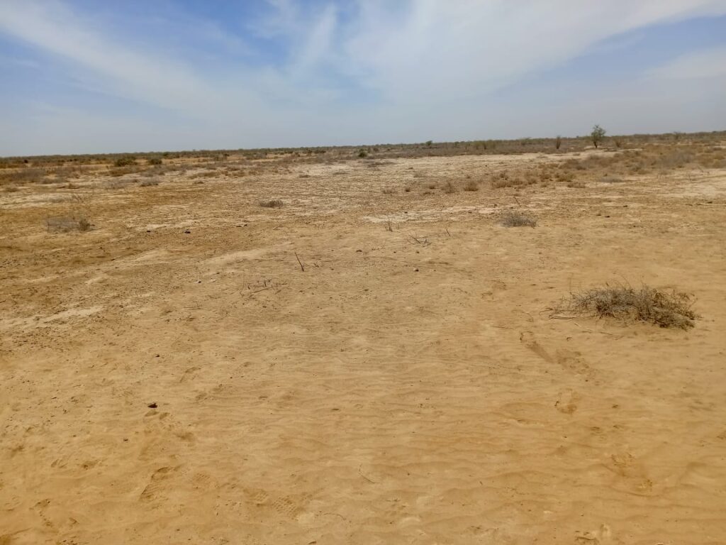 Terrain de 200 hectares à Diama – Saint-Louis : une opportunité foncière d’envergure