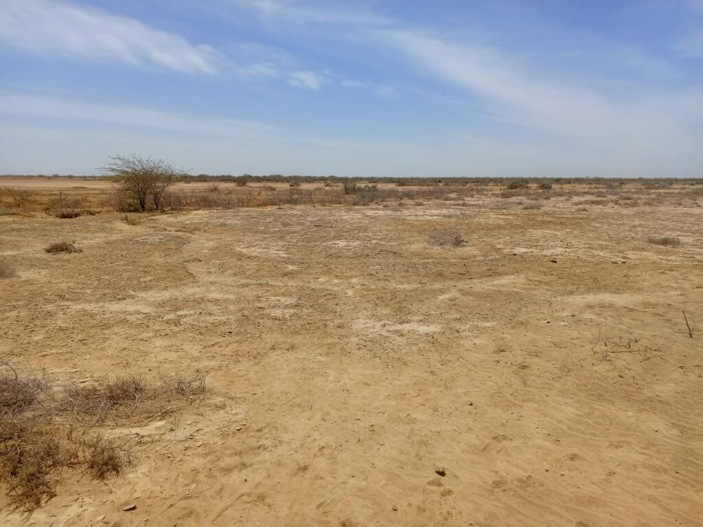 Terrain de 200 hectares à Diama – Saint-Louis : une opportunité foncière d’envergure