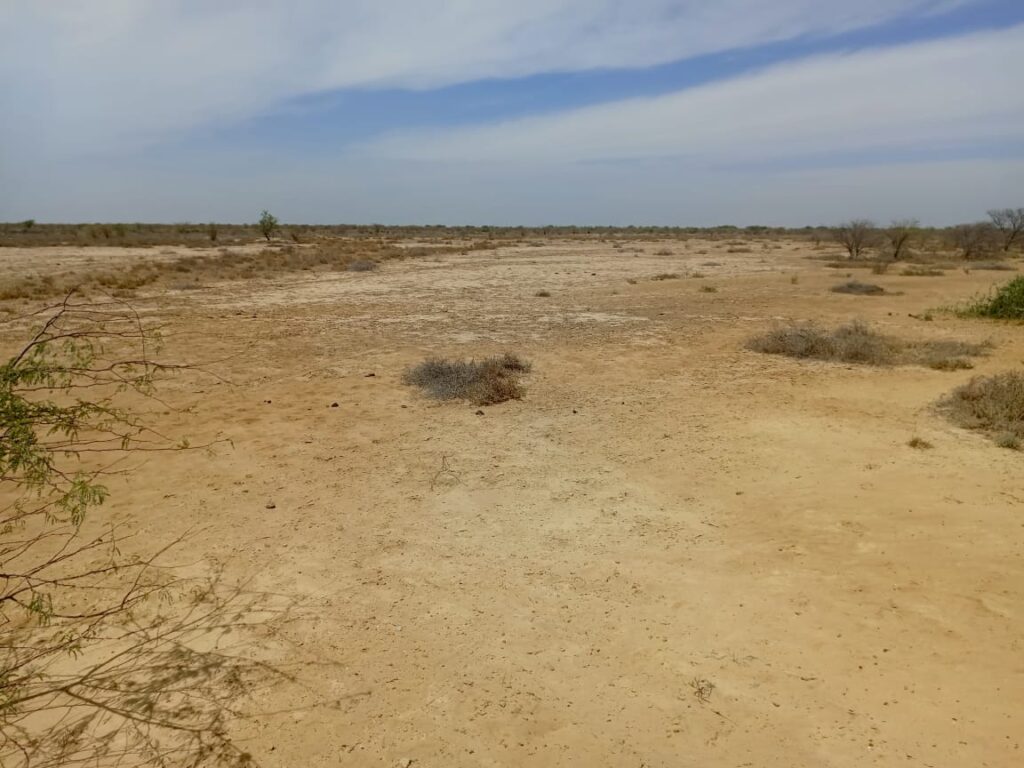 Terrain de 200 hectares à Diama – Saint-Louis : une opportunité foncière d’envergure