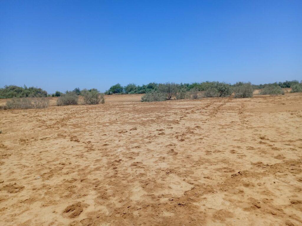 Haute Productivité : Vaste terrain agricole de 45 hectares vers Diama – Saint-Louis