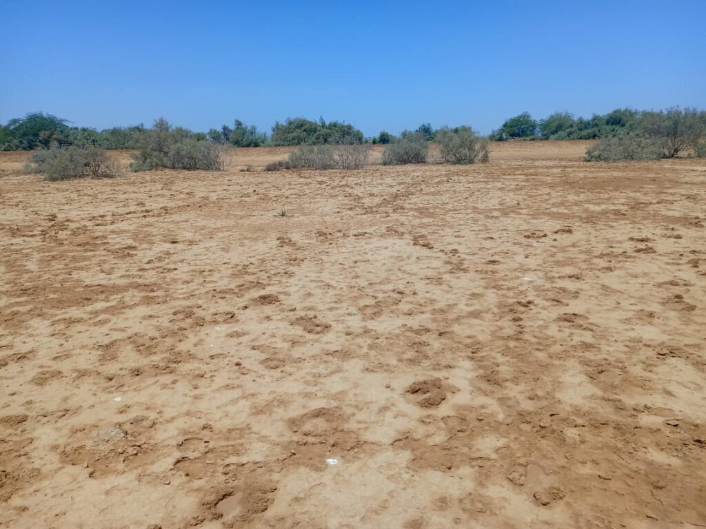 Haute Productivité : Vaste terrain agricole de 45 hectares vers Diama – Saint-Louis